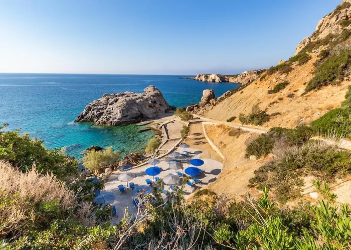 Castelia Bay Amoopi