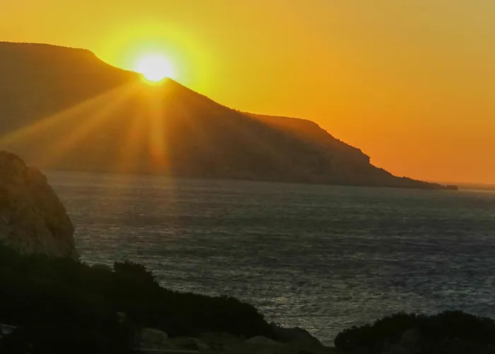 Castelia Bay 2* Amoopi