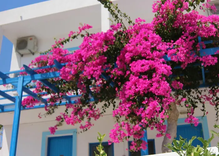 Castelia Bay