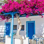 Castelia Bay فندق أموبي