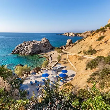 Castelia Bay Амупи