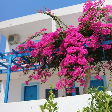Castelia Bay